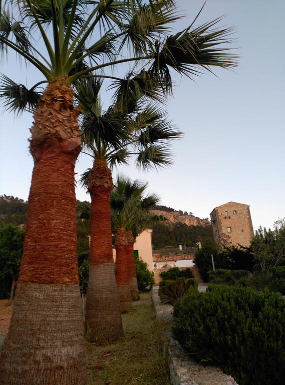 Hotel Son Esteve Andratx (Andrach)